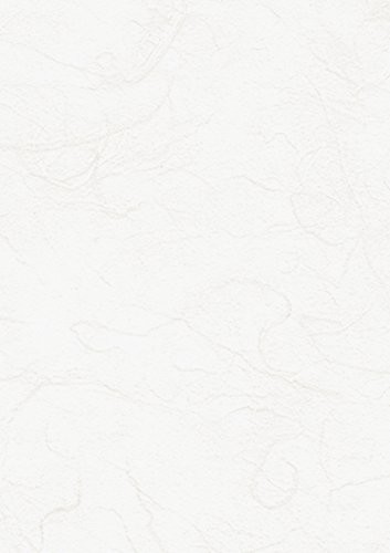 HEYDA Heyda 204719500 krepina, gramatura 25g/m2, 70 x 150 cm, rolka, kolor biały
