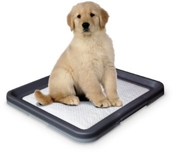 Nobby Doggy Trainer, large