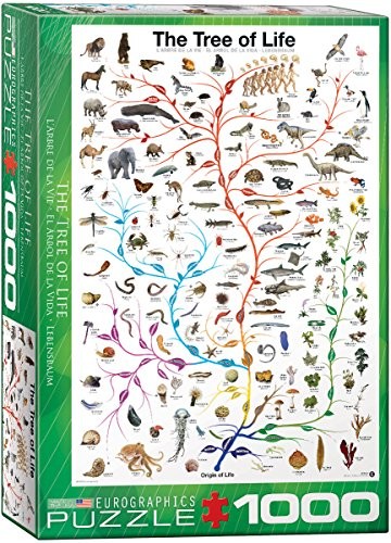 Eurographics drzewo życia 1000 elementów puzzle