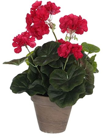 MICA Decorations Dekoracje Mica 975166 kwiat, geranium, duży, różowy 975166