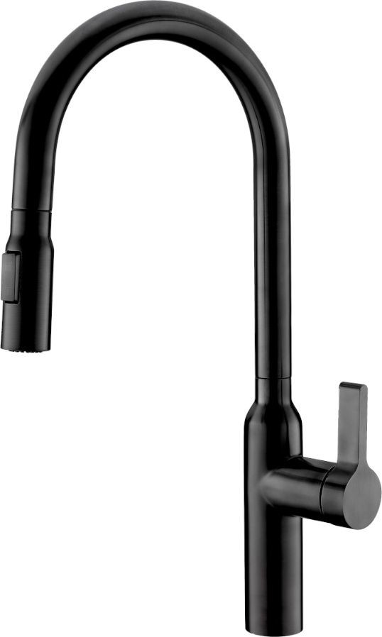 AQUILA Bateria kuchenna Hydria II Pull Down stojąca czarny matowy Hydria II Pull Down BLACK Hydria II Pull Down BLACK