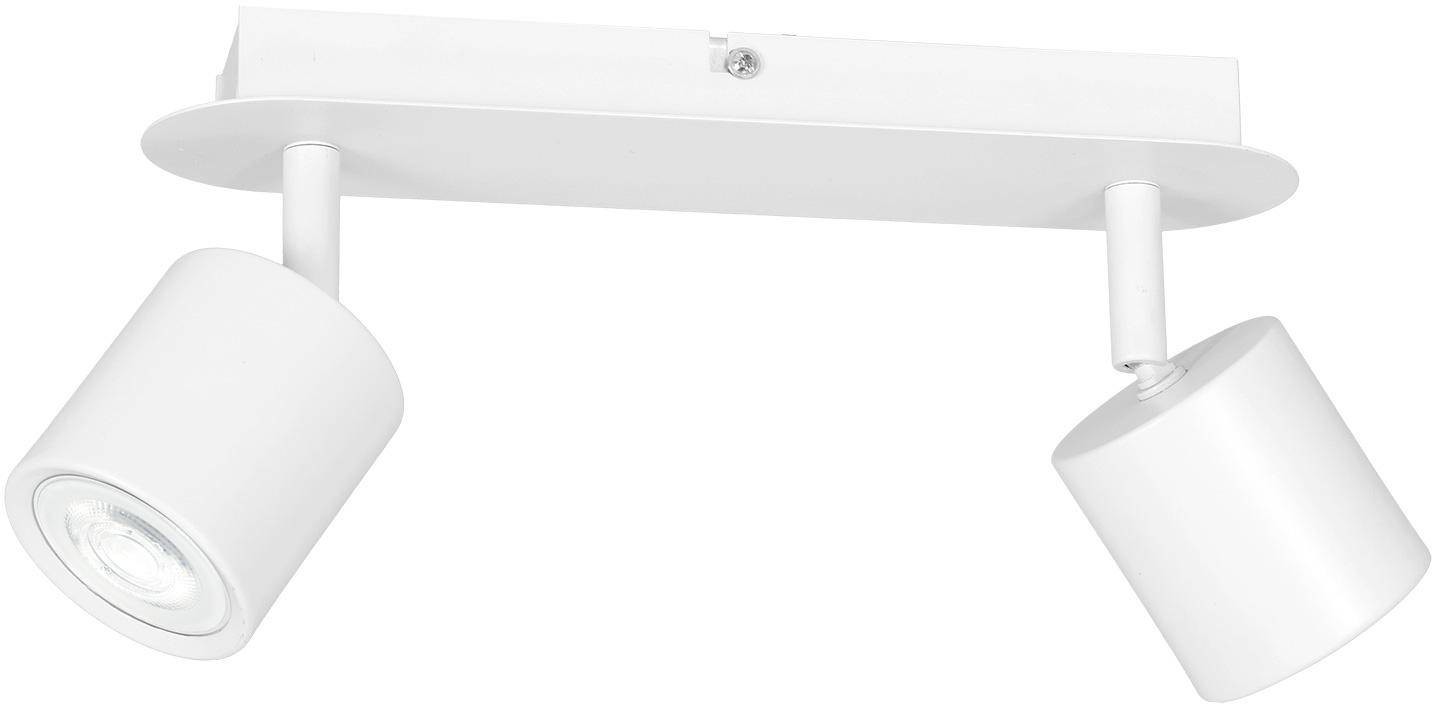 Luminex Spot Demia white 2 1425
