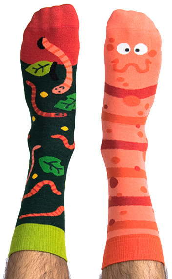 Nanushki Skarpety kolorowe z serii Happy Friends Socks robak Willy Wormka
