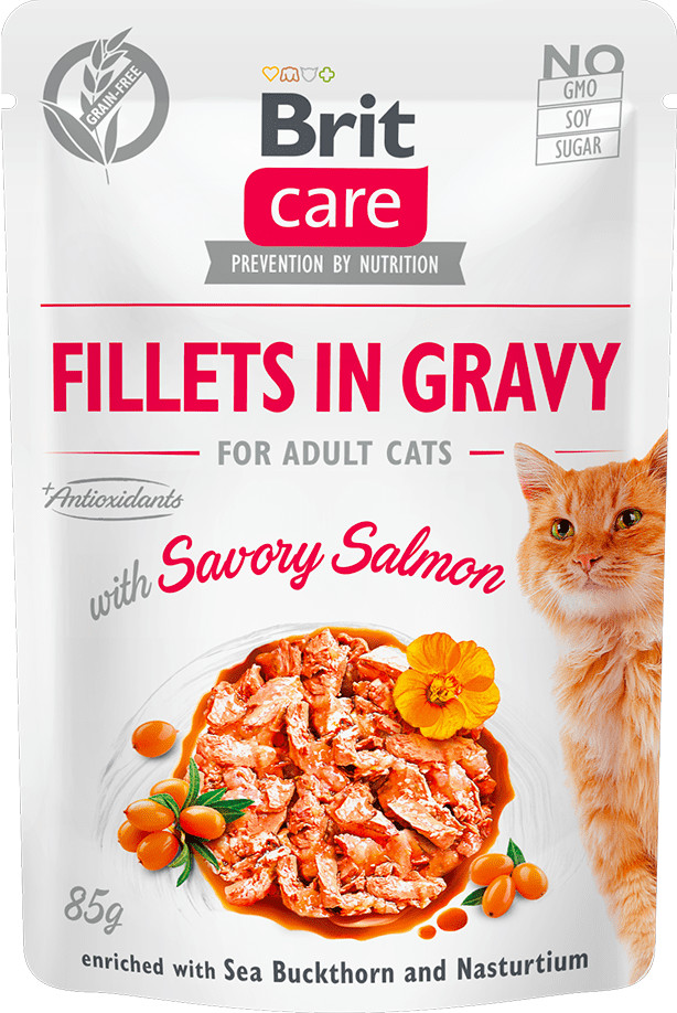 Brit Care Cat Fillets in Gravy with Savory Salmon 24x85 g # z wartością produktów powyżej 89zł!