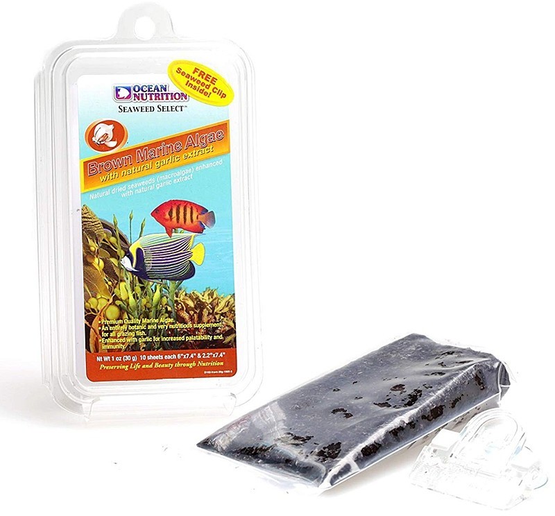 Ocean Nutrition Ocean Nutrition Seaweed Brown 30g + Clip - algi z czosnkiem i klipsem On Seaweed Brown 30g z klips