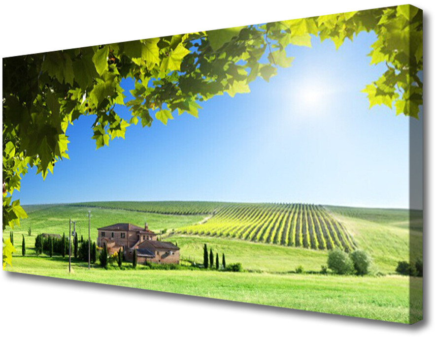 PL Tulup Obraz Canvas Pole Liście Krajobraz 125x50cm
