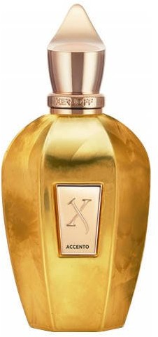 Xerjoff V Accento Overdose 100ml edp 101495-uniw