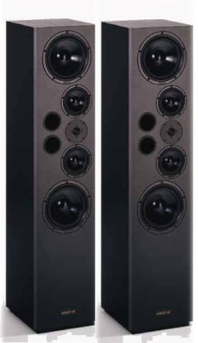 Visaton 5965 głośnik do odtwarzaczy MP3 i iPod Czarny 5965