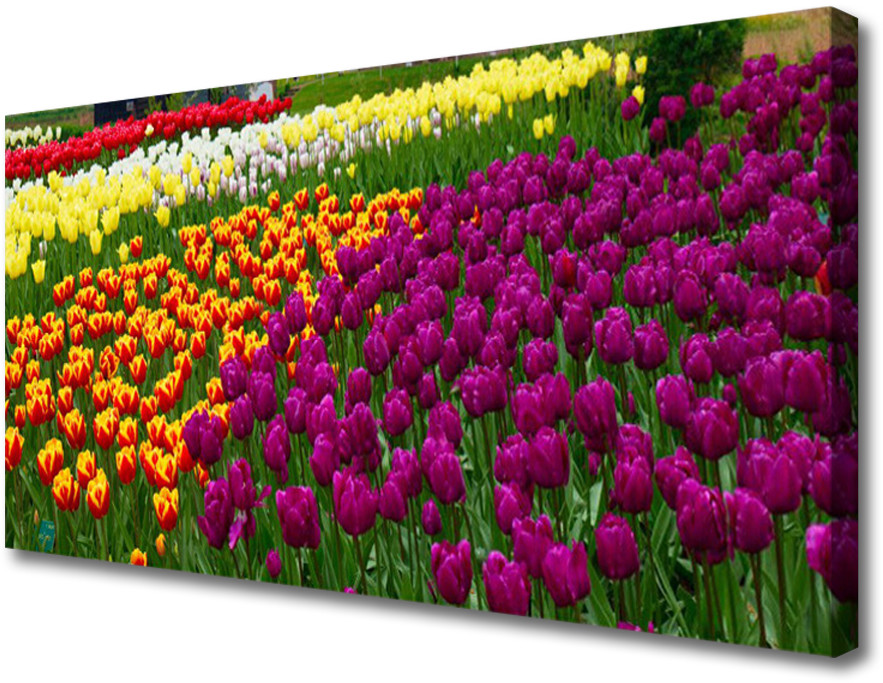 PL Tulup Obraz na Płótnie Tulipany Kwiaty 120x60cm