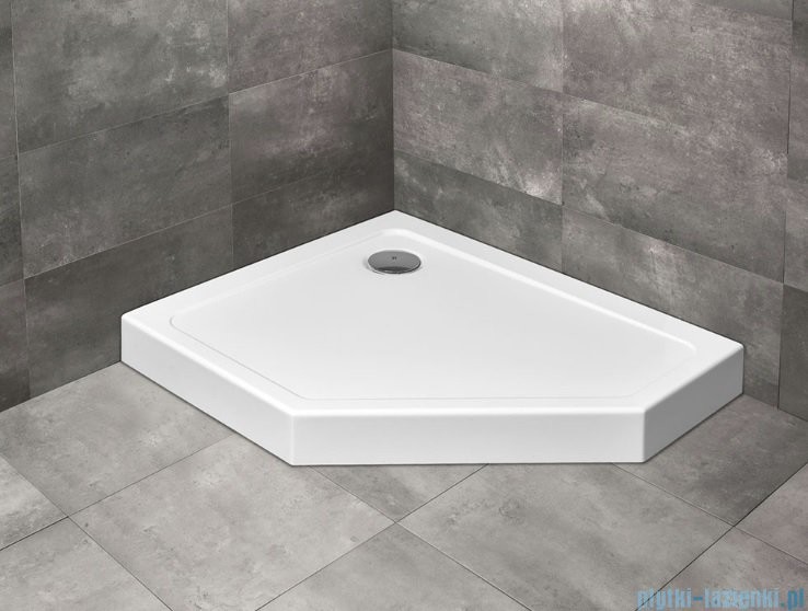 Radaway Doros PT E lewy 100x80 SDRPTP1080-05L