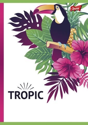 St. Majewski ZESZYT BAMBINO A4 32 KARTEK LINIA LAMINOWANY 02015 AP02015