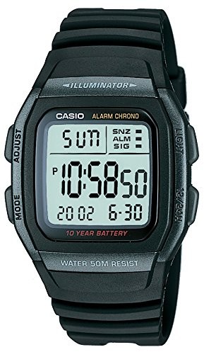 Casio D054