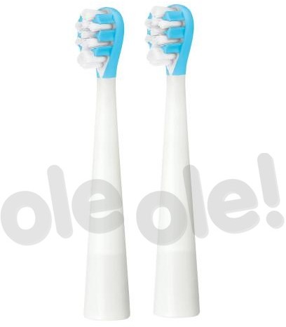 RAVEN RAVEN EGSOS002 2 szt