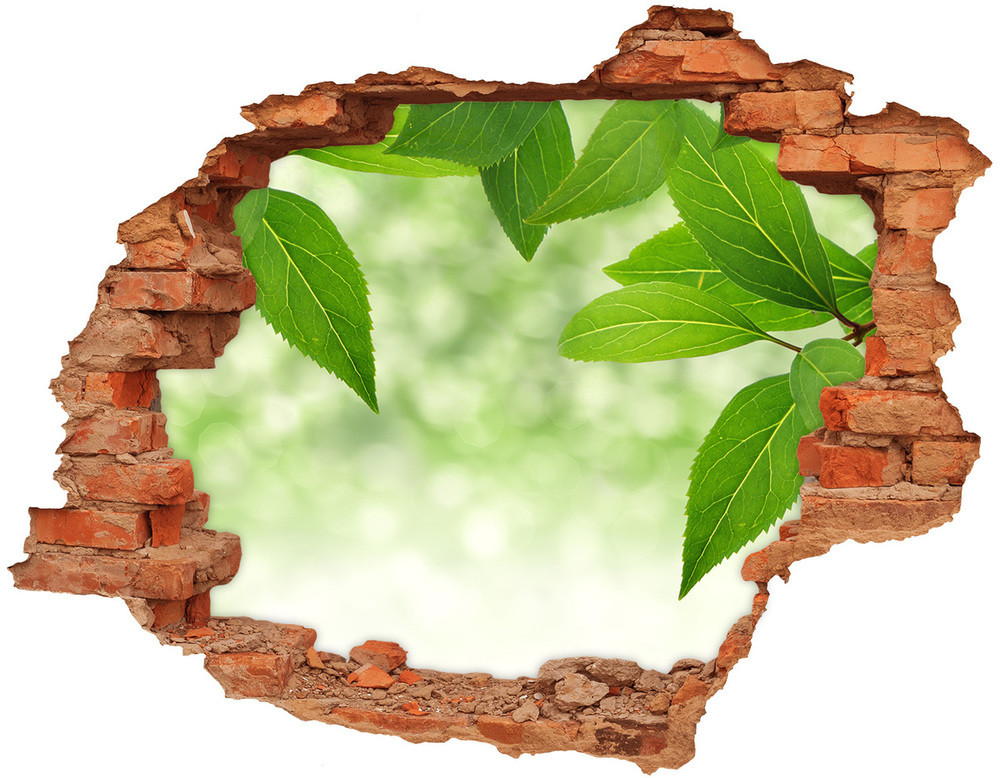 Wallmuralia.pl Samoprzylepna dziura naklejka Zielone liście