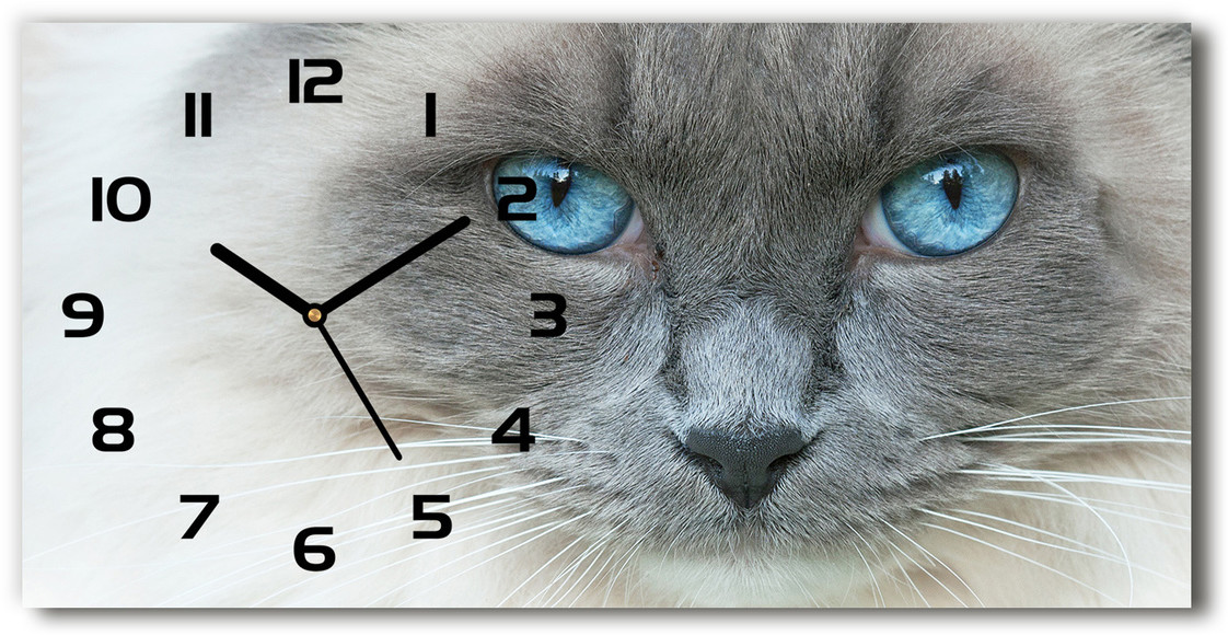Zegar ścienny szklany Kot niebieskie oczy