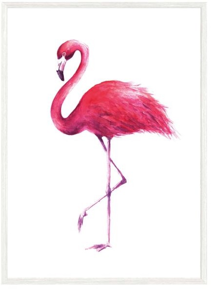 Obraz Flaming różowy 50 x 70 cm K5070,057L34,17,08