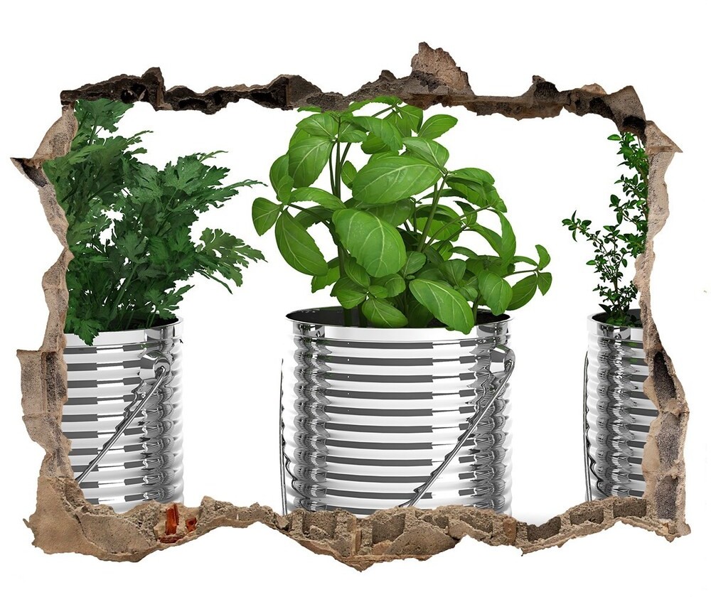 Wallmuralia.pl Samoprzylepna naklejka Aromatyczne rośliny