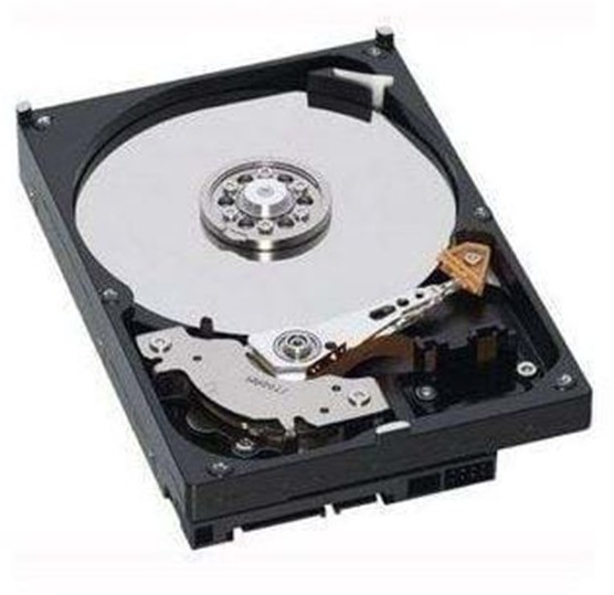 Fujitsu Business Critical - 1 Dysk twardy - 160 GB - 2.5