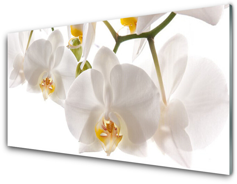 Tulup.pl Panel Szklany Kwiaty Roślina Przyroda 140x70cm