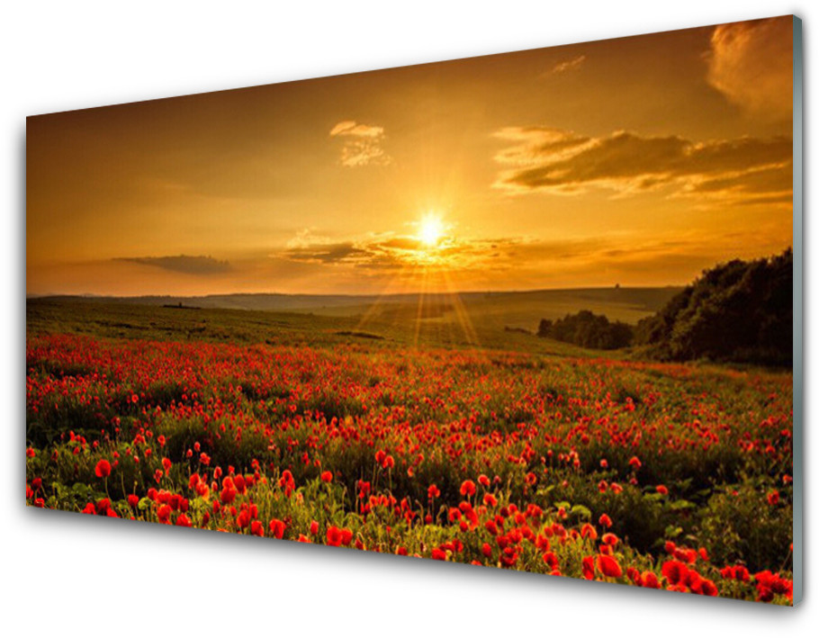 Tulup.pl Panel Szklany Pole Maki Zachód Słońca Łąka 100x50cm