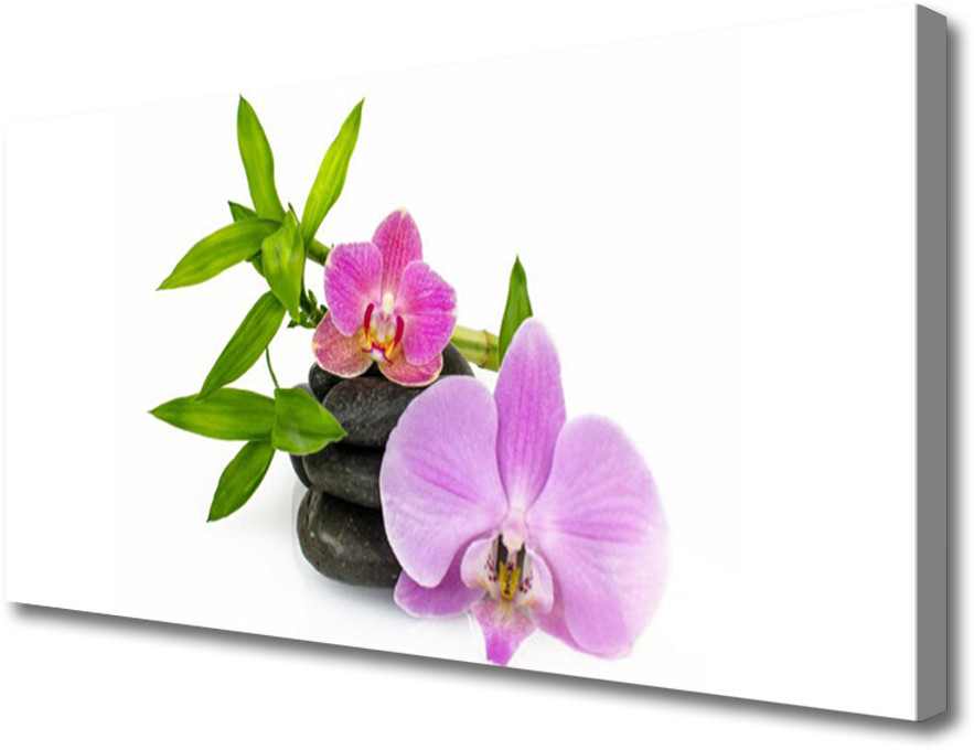 PL Tulup Obraz Canvas Kwiat Orchidea Roślina 120x60cm