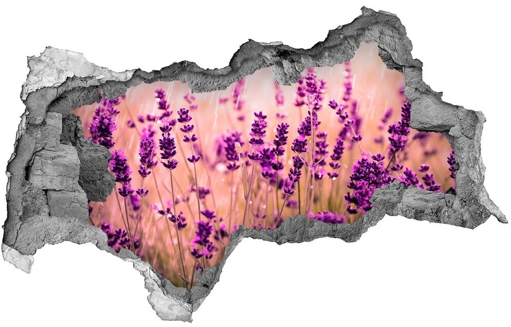 Wallmuralia.pl Samoprzylepna dziura naklejka beton Lawenda