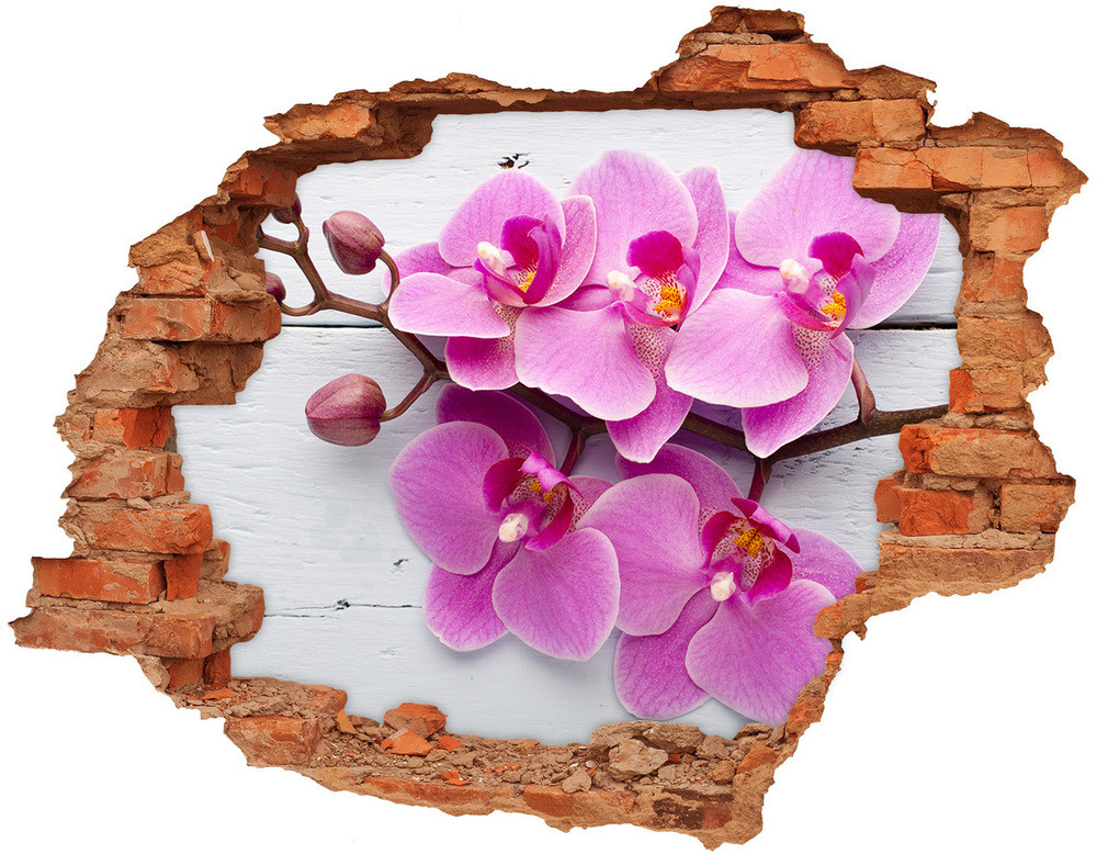 Wallmuralia.pl Samoprzylepna naklejka Orchidea na drewnie