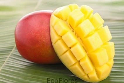 Ecoflores MASŁO MANGO RAFINOWANE Mas_mango