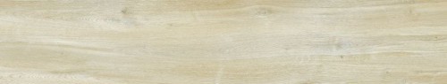 Halcon Gres Baltimore Beige 23,3x120