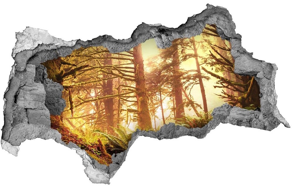 Wallmuralia.pl Dziura 3d w ścianie naklejka Las deszczowy
