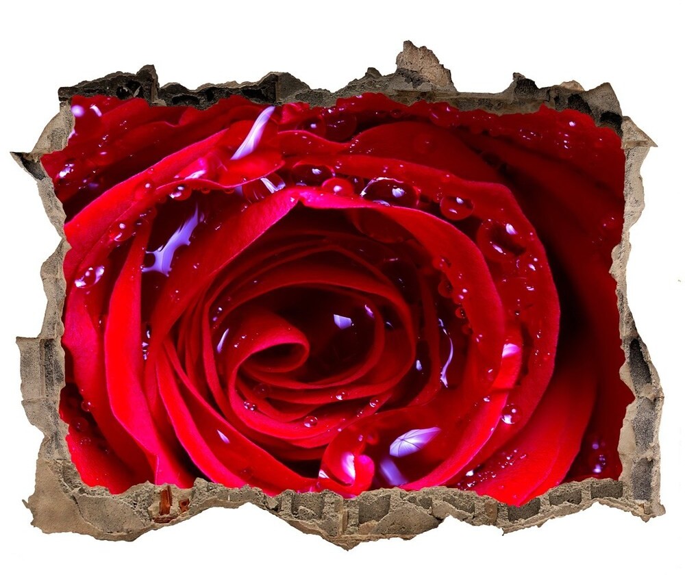 Wallmuralia.pl Samoprzylepna naklejka na ścianę Kwiat róży