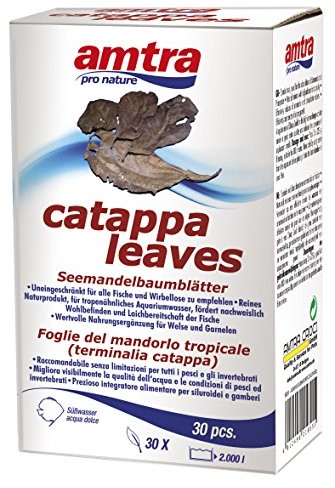 Amtra amtra a3050050 catappa Leaves, rozmiar S, 30 sztuki