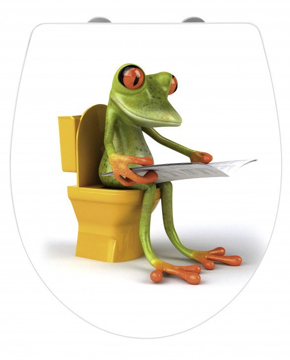 WENKO Deska sedesowa Frog News 21758100