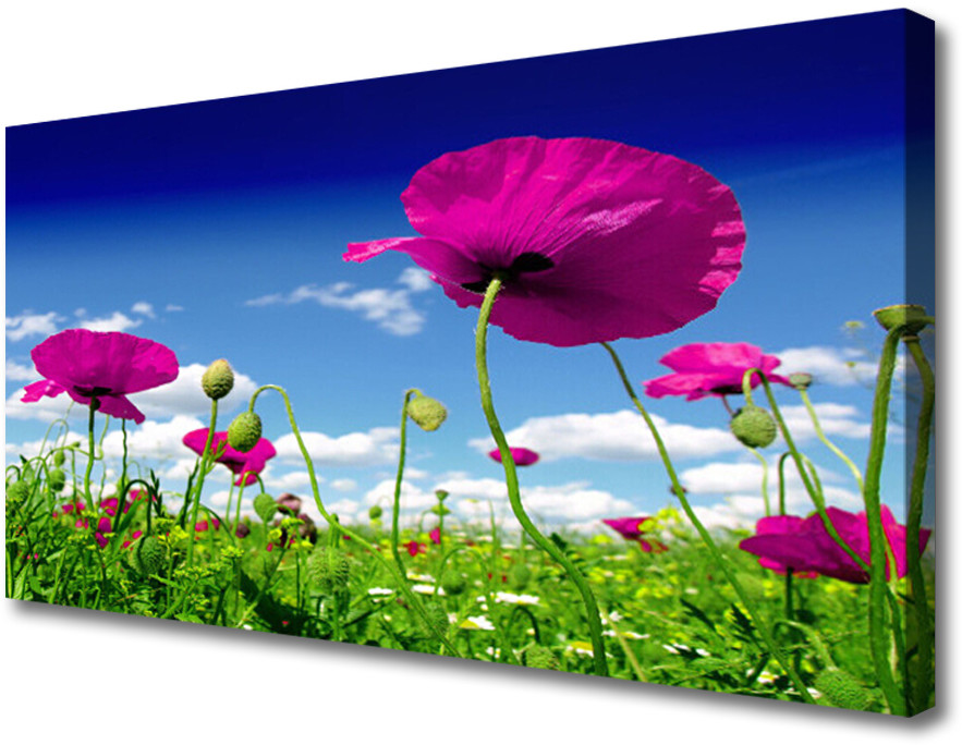 PL Tulup Obraz Canvas Łąka Kwiaty Niebo Przyroda 100x50cm