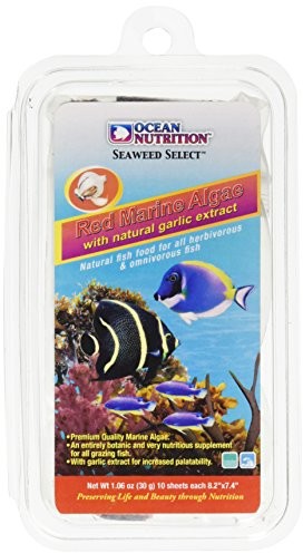 Ocean Nutrition Food Morning Algae, 20 G, Red by Ocean Nutrition 51025005