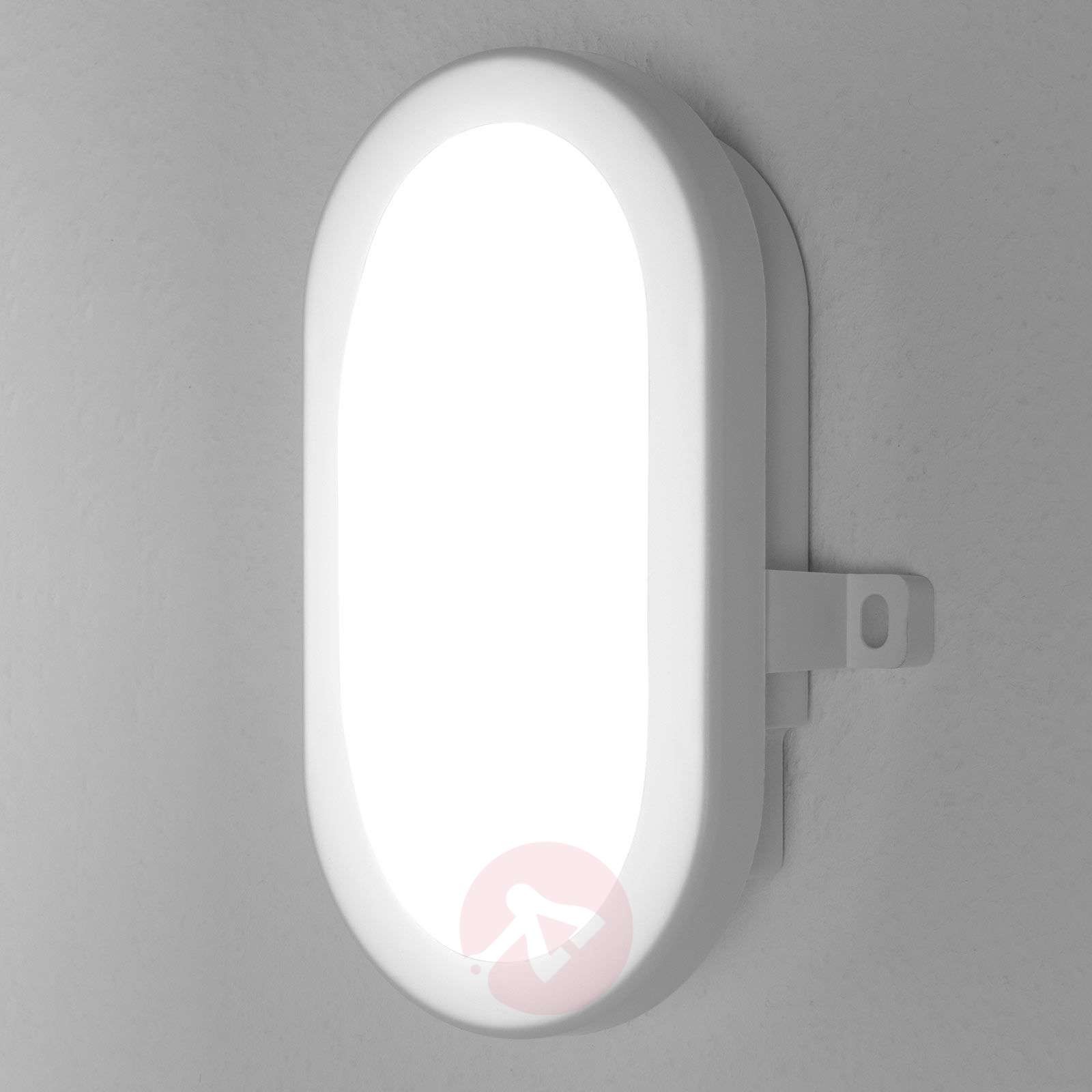 LEDVANCE Bulkhead kinkiet zewnętrzny LED 5,5W