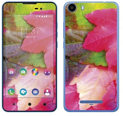 Wiko Royal Sticker Royal tatuaż ścienny RS. 119170 samoprzylepny do Lenny 2 z motywem liści jesienią RS.119170