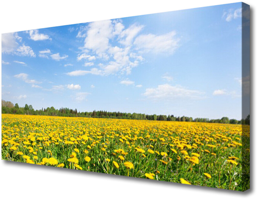PL Tulup Obraz na Płótnie Mniszek Lekarski Łąka 120x60cm