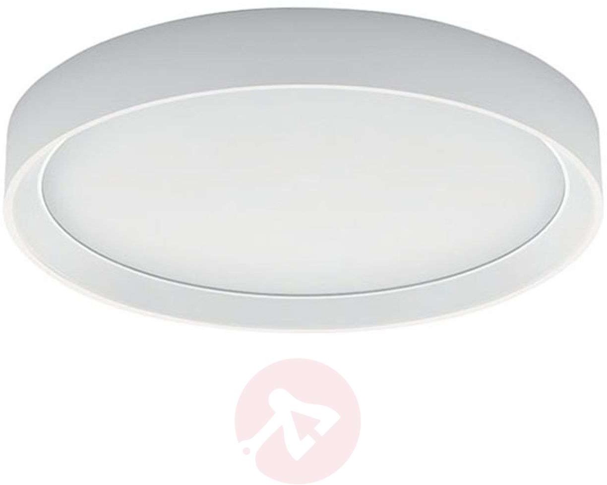 Linea Light Lampa sufitowa LED Tara R, okrągła, 41 cm