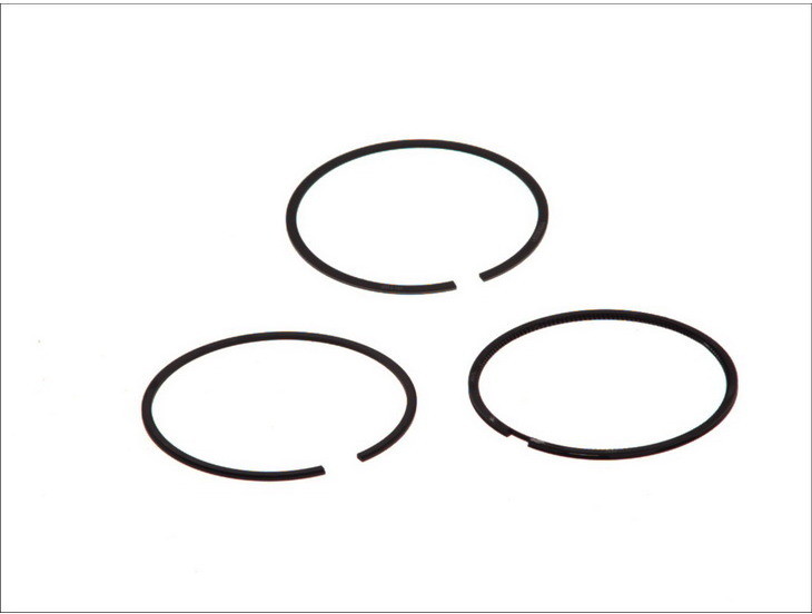 MAHLE PIERŚCIENIE TŁOKA 04025N0 MAHLE 75/1,2-1,5-2,5 STD PEUGEOT 206 307 1007 1,4 16V 03 MAHLE 04025N0