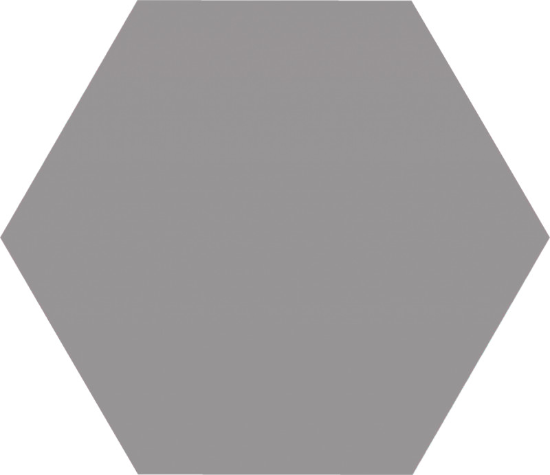 Codicer Hex 25 Basic Grey 22x25 Płytka heksagon