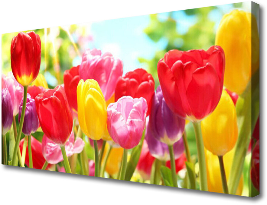 PL Tulup Obraz Canvas Tulipany Kwiaty Roślina 100x50cm