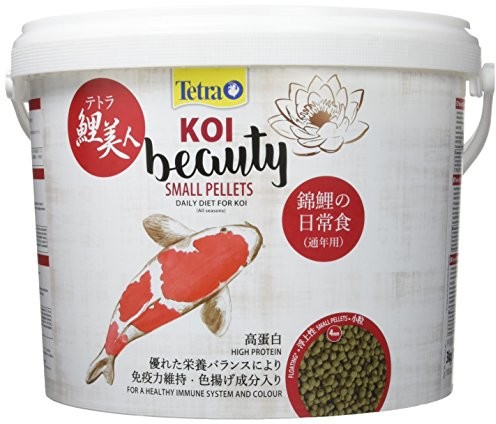 Tetra KOI Beauty 4004218263314