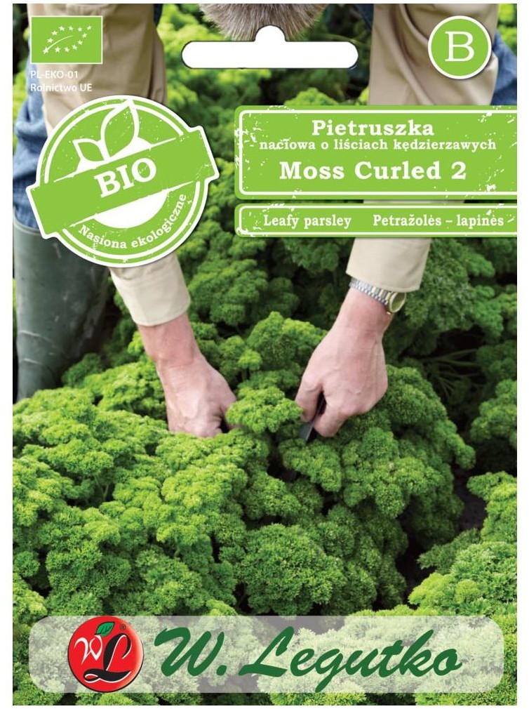 Legutko Pietruszka naciowa o liściach kędzierzawych nasiona BIO Moss Curled 2
