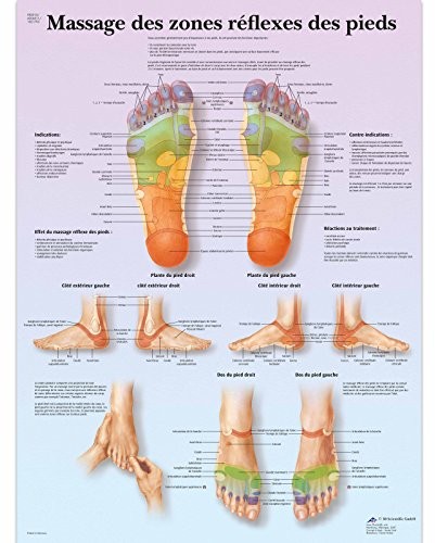 3B Scientific anatomiczne krojenia VR2810UU