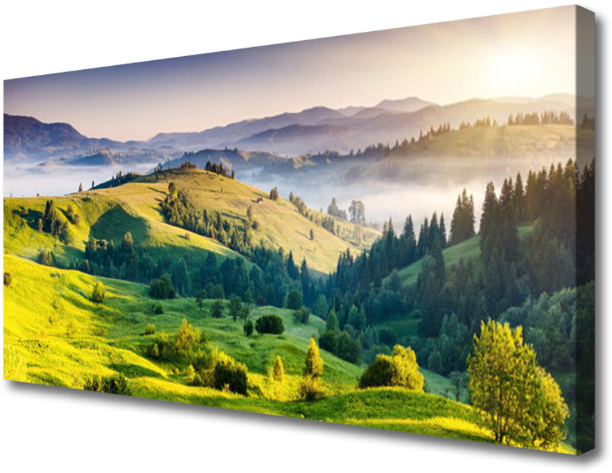PL Tulup Obraz na Płótnie Góra Pole Mgła Natura 100x50cm