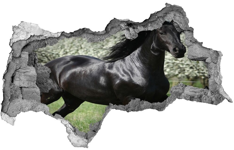 Wallmuralia.pl Dziura 3d fototapeta na ścianę Czarny koń kwiaty