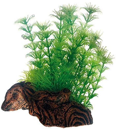 Hobby Flora Root replika korzeni ze sztucznymi roślinami, s 51597