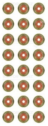 REINZ Zestaw uszczelniaczy, trzonek zaworu 12-35172-02