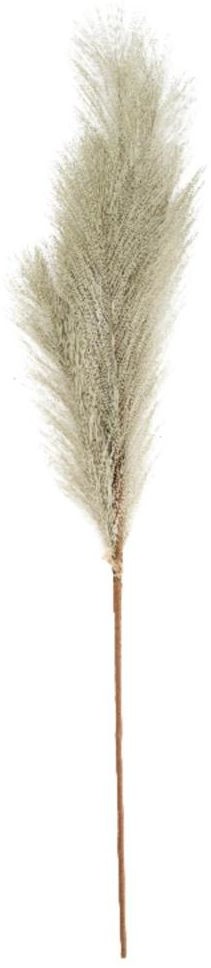 TAJEMNICZY OGRÓD Trawa Plume 77 cm